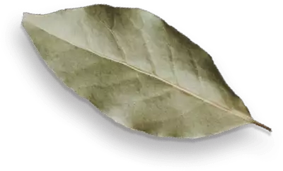 spice-shop-37