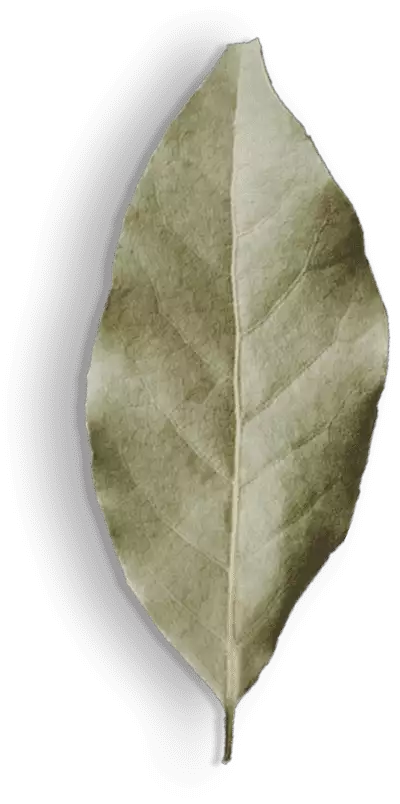 spice-shop-40